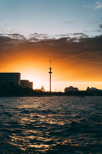 Silhouette of Buildings