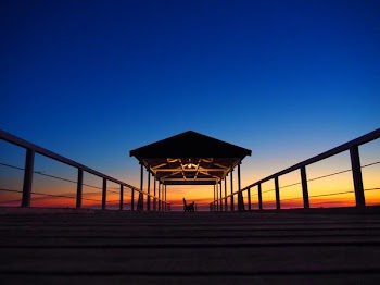 silhouette of cat standing on boat dock
