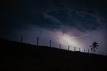 Silhouette of Coconut Tree Under Clouds With Lightning