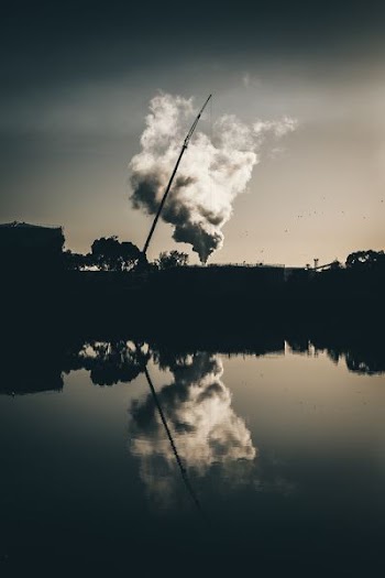 silhouette of crane and trees