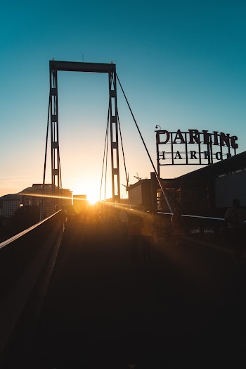 Silhouette of Darling Harbor Sign and Bridge