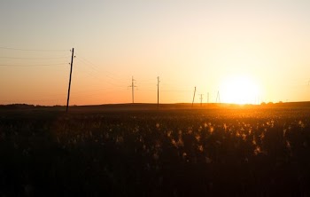 silhouette of field during sunrise
