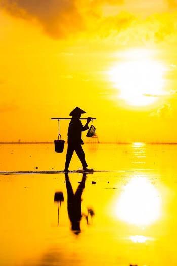 Silhouette of Fisherman at Golden Sunrise