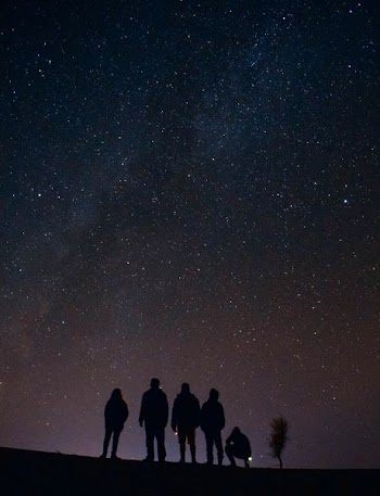 silhouette of five persons staring at the stars at night