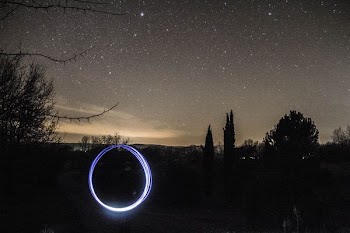 silhouette of forest landscape under nightsky