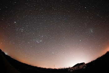 Silhouette of Grass during Starry Night