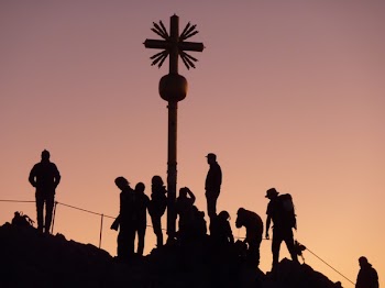 Silhouette of Group of People