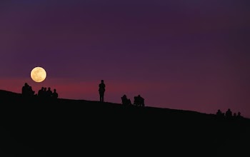silhouette of group of people under purple night sky