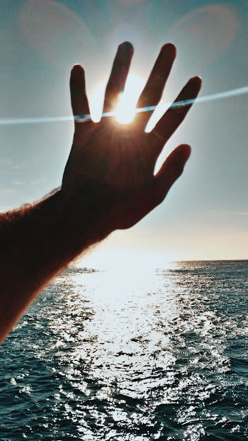 Silhouette Of Hand