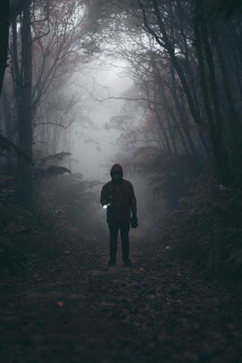 silhouette of man holding flashlight under trees