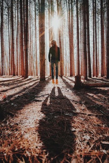 silhouette of man jumping on forest