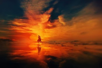 silhouette of man riding a horse