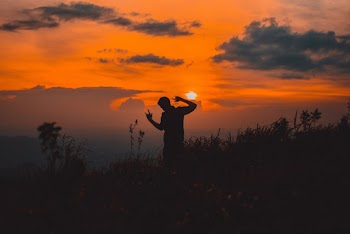 Silhouette Of Man Standing On Grass Field