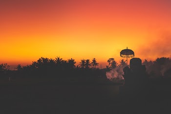 Silhouette of Palm Trees at Sunset