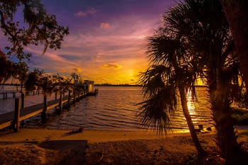 Silhouette of Palm Trees Near Body of Water and Sea Dock during Golden Hour