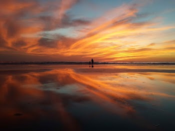 Silhouette Of People At The Beach