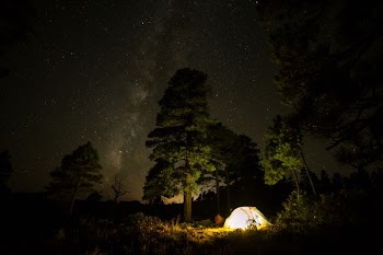 silhouette of people having camping during nighttime