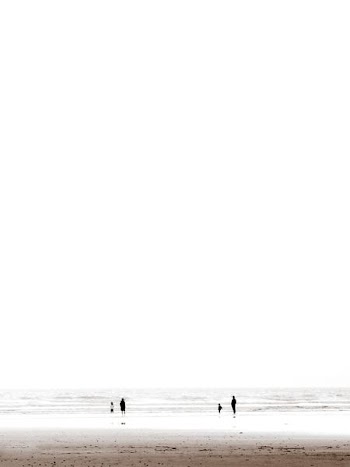 silhouette of people in beach