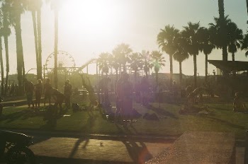 Silhouette of People Spending Their Time at the Venice Beach