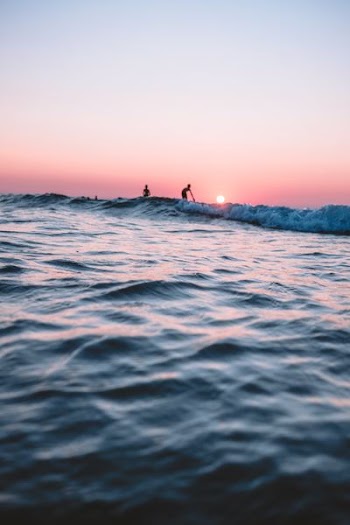 silhouette of people surfing during sunset