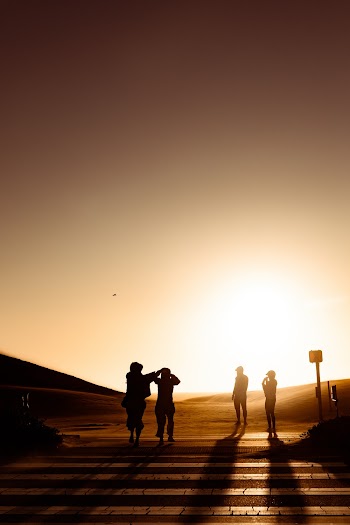 Silhouette of People Walking on Pedestrian Lane