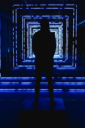 Silhouette Of Person