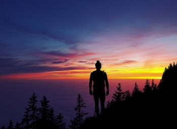 Silhouette Of Person