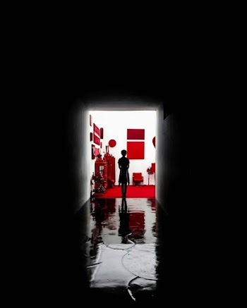 Silhouette of Person