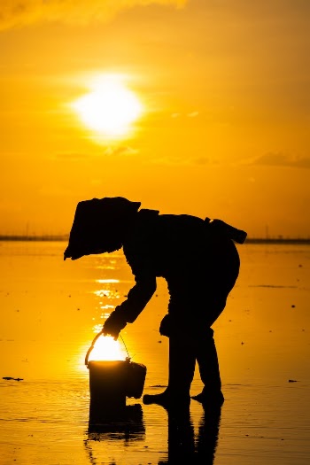 Silhouette of Person at Golden Sunrise