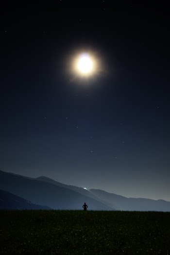 Silhouette of Person in Green Grass Under the Sun during Daytime