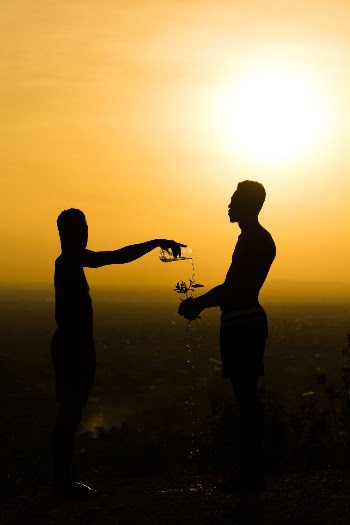 Silhouette Of Person Pouring Water On Plant During Sunset