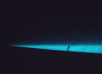 silhouette of person's hand