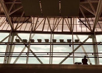 Silhouette of Person Sitting Inside Building
