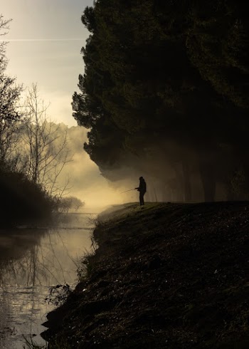 Silhouette Of Person Standing Beside Body Of Water