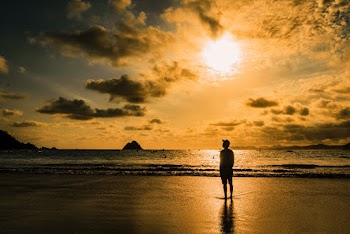 Silhouette of Person Standing on Seashore 
