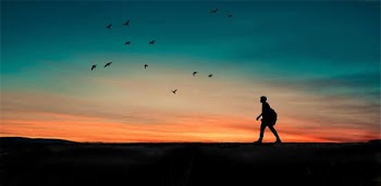 Silhouette of Person Walking
