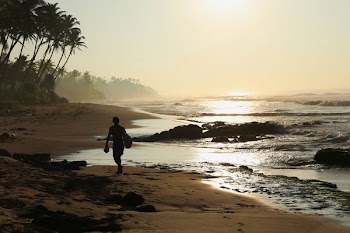 silhouette of person walking on seashore