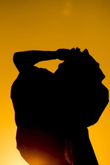 Silhouette of Persons Hand