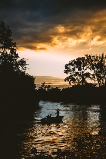 Silhouette of Persons on Boat Near Trees