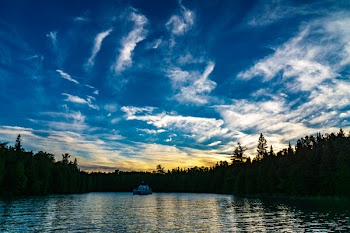 Silhouette of Pine Trees Under Blue Sky