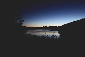 silhouette of plants near body of water near mountain
