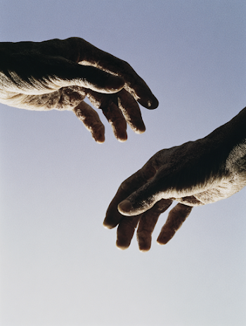 Silhouette of Relaxed Hands in Backlight