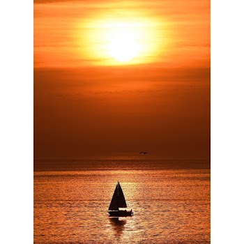 Silhouette of Sailboat on Body of Water