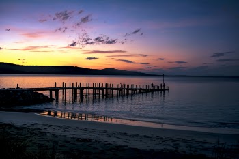 Silhouette of Seadock on Body of Water during Sunset