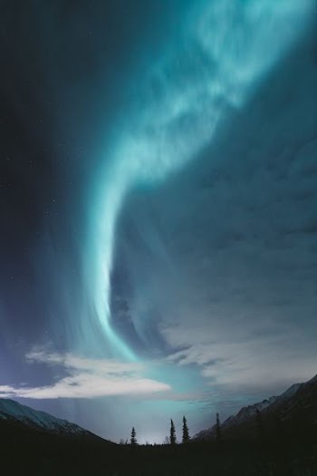 silhouette of snow-capped mountain and trees under Aurora sky