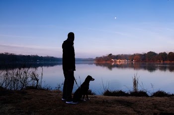 silhouette of standing man beside dog facing lake under clear blue sky