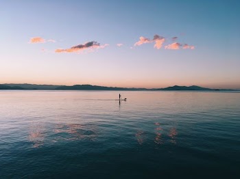 silhouette of stick on body of water