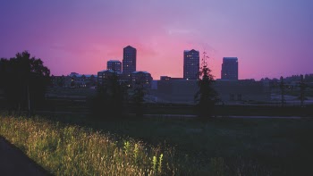Silhouette of Tree and High Rise Building during Sunset