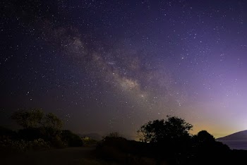 Silhouette of Tree Under Nebula