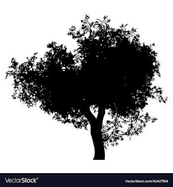 silhouette of tree with leaves